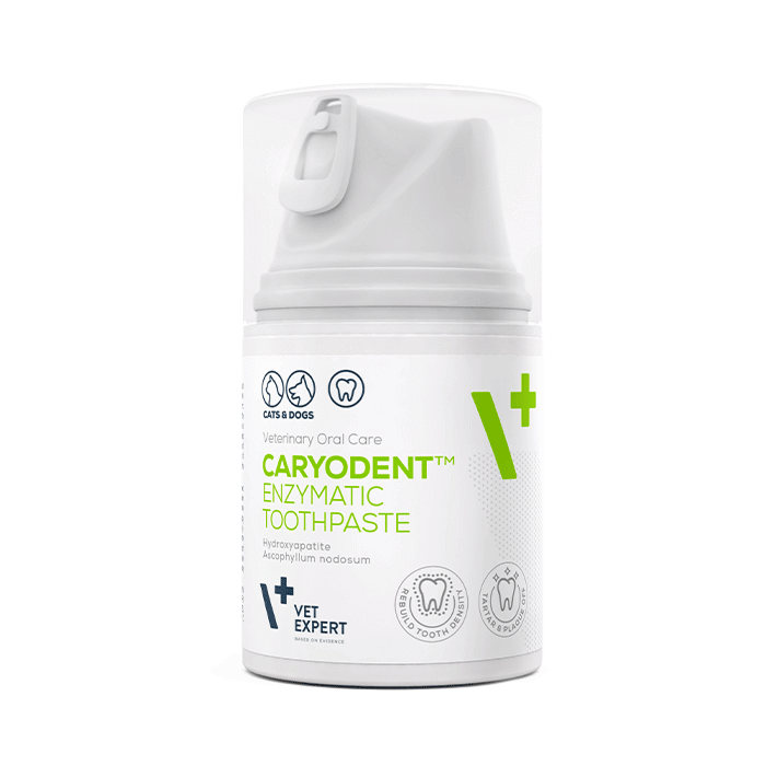 VetExpert Caryoden Enzumiki Odontokrema ga Skulous kai Gtes 50ml
